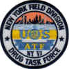 federal_atf_new_york_field_division_drug_task_force.jpg (27899 Byte)