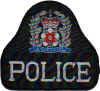 gb_hampshire_police.JPG (67707 Byte)