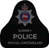 gb_surrey_police_special_constabulary.JPG (90309 Byte)