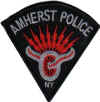 new_york_amherst_police.jpg (23081 Byte)