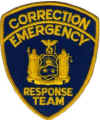 new_york_correction_emergency_response_team.jpg (33680 Byte)